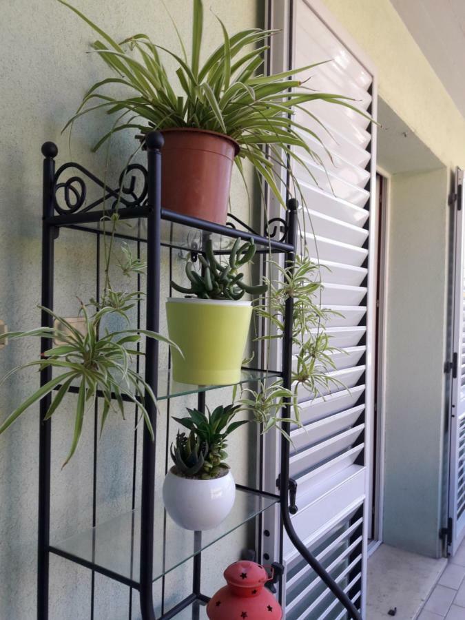 דירות לוקה Palazzina Mary מראה חיצוני תמונה